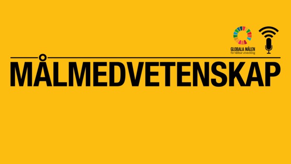 Målmedvetenskap 8 - ljud