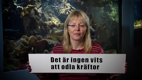 Thumbnail for Det är ingen vits att odla kräftor