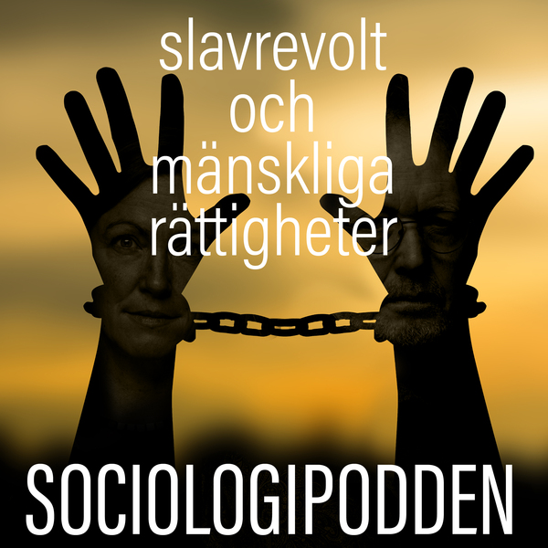11. Slavrevolt och mänskliga rättigheter episode artwork