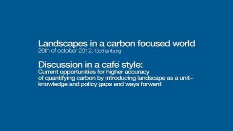 Thumbnail for Discussion in a café style. Current opportunities for higher accuracy of quantifying carbon by introducing landscape as a unit - knowledge and policy gaps and ways forward