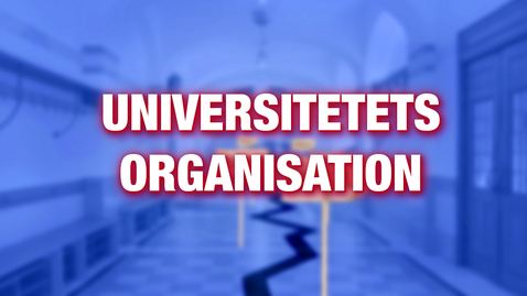Thumbnail for Universitetets organisation