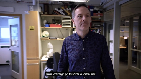 Thumbnail for Fredrik Bergh Thorén professor i medicinsk cellbiologi