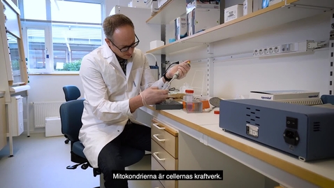 Thumbnail for Martin Ott professor i molekylär cellbiologi