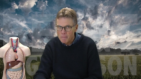 Thumbnail for Matspjälkning 1