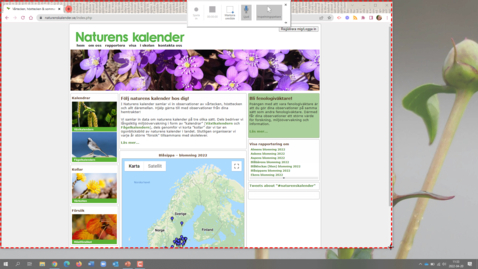 Thumbnail for Enkel skärminspelning i PowerPoint