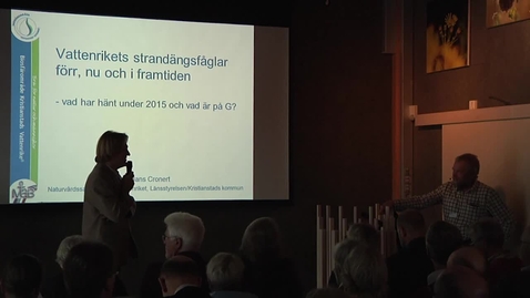 Thumbnail for Åtgärder för strandängarna och dess vadarfåglar