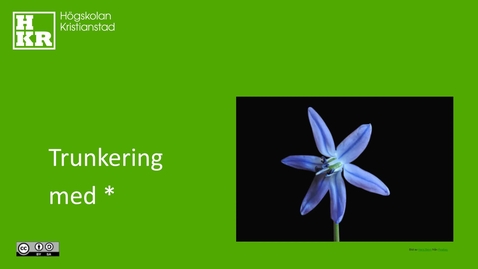 Thumbnail for Trunkering