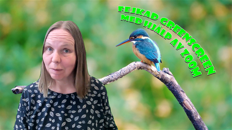 Thumbnail for Fejkad greenscreen med Zoom