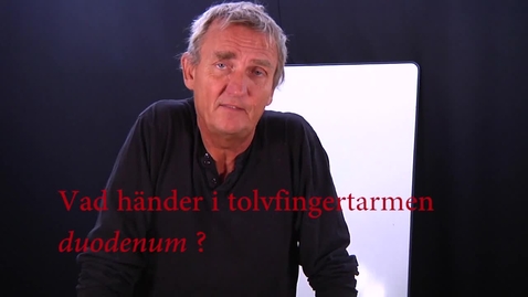 Thumbnail for Matspjälkning del 7 tolvfingertarmen
