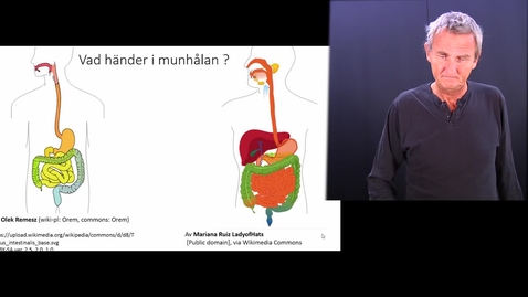 Thumbnail for Matspjälkning del 3  Munhåla matstrupe