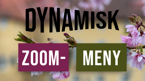 Thumbnail for Dynamisk zoommeny i PowerPoint