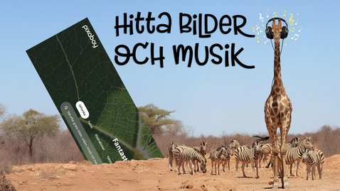 Thumbnail for Pixabay - bilder och musik till din produktion