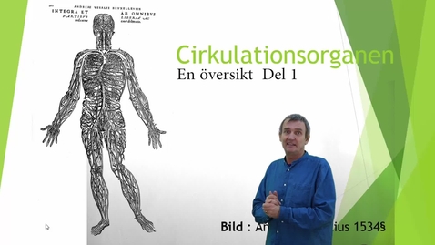 Thumbnail for Cirkulationsorganen 1