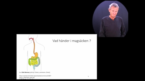 Thumbnail for Matspjälkning del 4 Magsäcken
