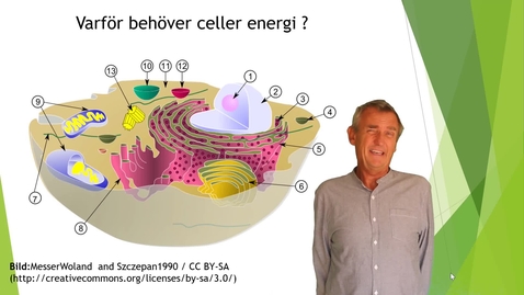 Thumbnail for Cellens energiomsättning