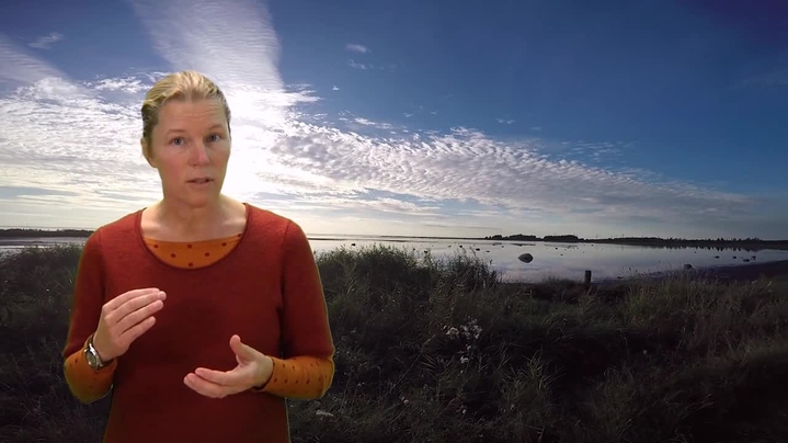 Tumnagel för kanal BiologMKS