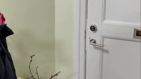 Thumbnail for Cardboard inspo