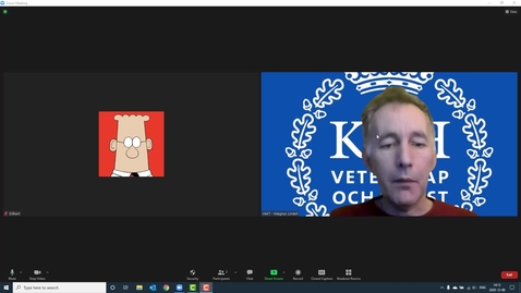 Thumbnail for Kontroller i Zoom-fönstret