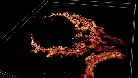Thumbnail for First-ever nanoscale 3D images of molecules in whole, living cells. 