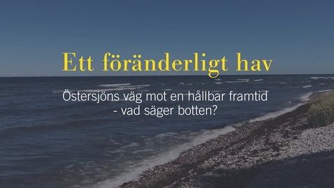 Thumbnail for Ett föränderligt hav_version3