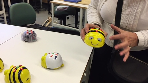 Thumbnail for Vad är en Bee-Bot?