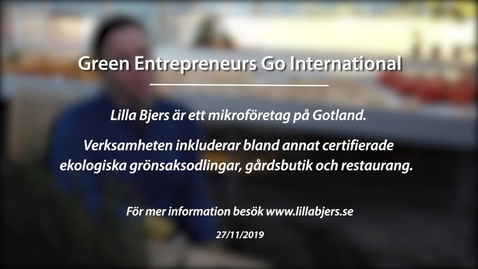 Thumbnail for Module 8: Green entrepreneurs go international. Lilla Bjers