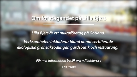 Thumbnail for Om företagandet på Lilla Bjers