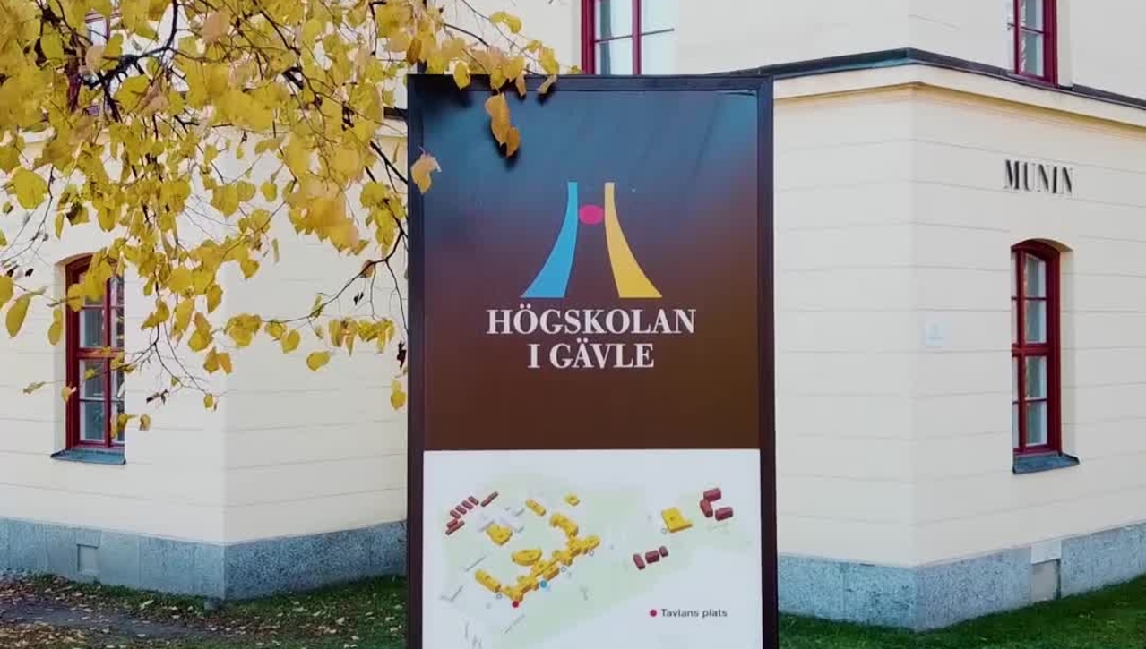 Högskolan från ovan