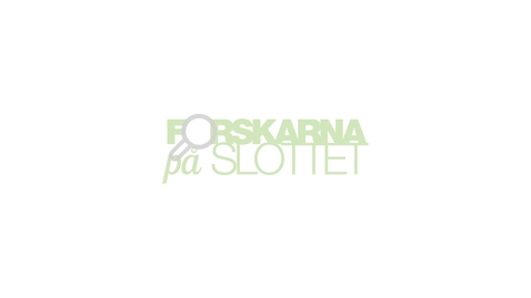 Thumbnail for Forskarna på slottet 23 maj 2018 - Inflyttade turismentrepenörer i Gävleborg - möjligheter och utmaningar