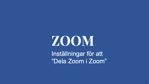 Thumbnail for Visa Zoom i Zoom