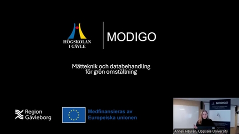 Thumbnail for Föreläsning Hållbar rekrytering