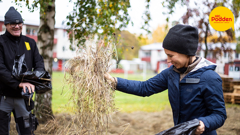 Thumbnail for &quot;På sikt ska det bli blomsterängar som gynnar pollinerare&quot;