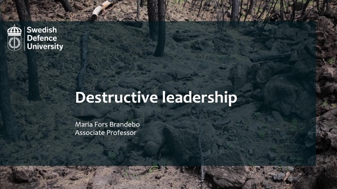 Thumbnail for Destructive leadership SLC MFB 2024