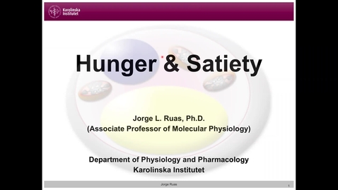 Thumbnail for Hunger and Satiety