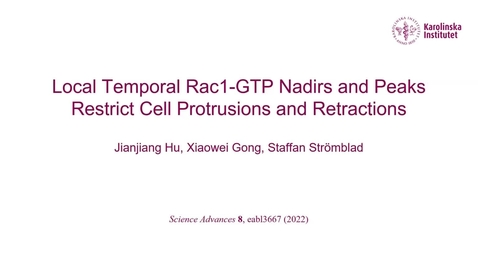 Thumbnail for Jianjiang Hu - Local temporal Rac1-GTP nadirs and peaks restrict cell protrusions and retractions