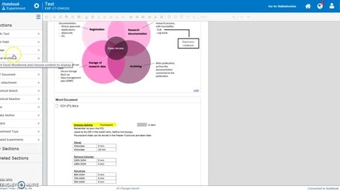 Thumbnail for Excel section