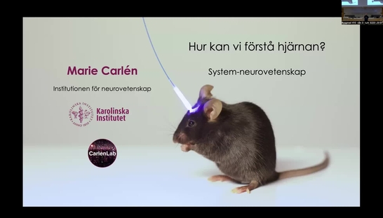 En resa genom hjärnan 2026