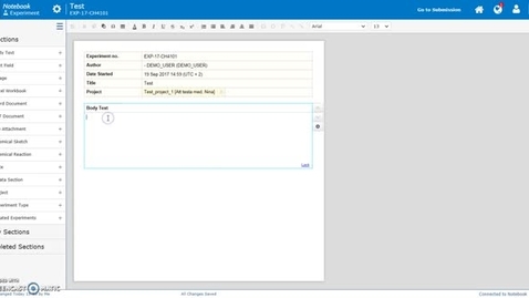 Thumbnail for Body text section