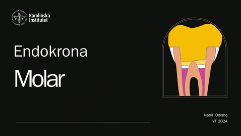 Thumbnail for Endokrona