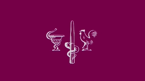 Thumbnail for Open seminar with the Director-General of the WHO