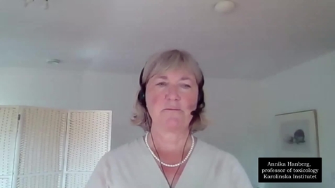 Thumbnail for Prof. Annika Hanberg gives doctoral students advice on source use