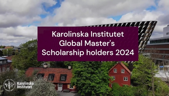 KI Global Master's programme Scholarship holders 2024