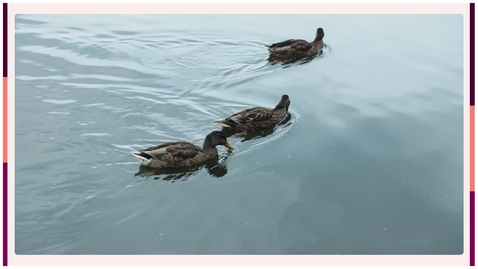 Thumbnail for Johan Engdahl: Looking for better ways to identify patients with atrial fibrillation