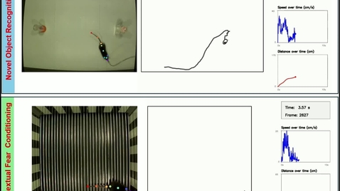 Thumbnail for Video1