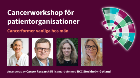 Thumbnail for Cancerworkshop för patientorganisationer - Cancerformer vanliga hos män