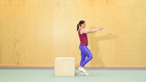 Thumbnail for KI Single-leg box squat