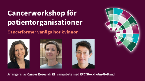 Thumbnail for Cancerworkshop för patientorganisationer - Cancerformer vanliga hos kvinnor