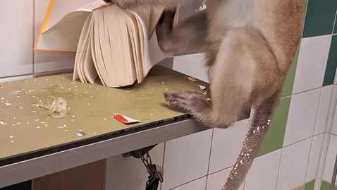 Thumbnail for KMF läser bok