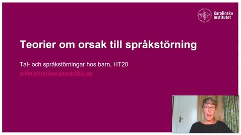 Thumbnail for Teorier om orsaker till språkstörning