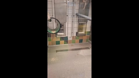 Thumbnail for KMF NY KORTARE FILM ny inredning_klippt